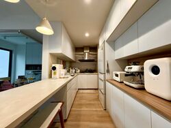 Oasis Garden (D19), Condominium #599660891